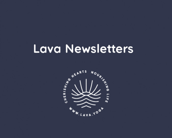 Alle newsletters van Lava vind je hier!